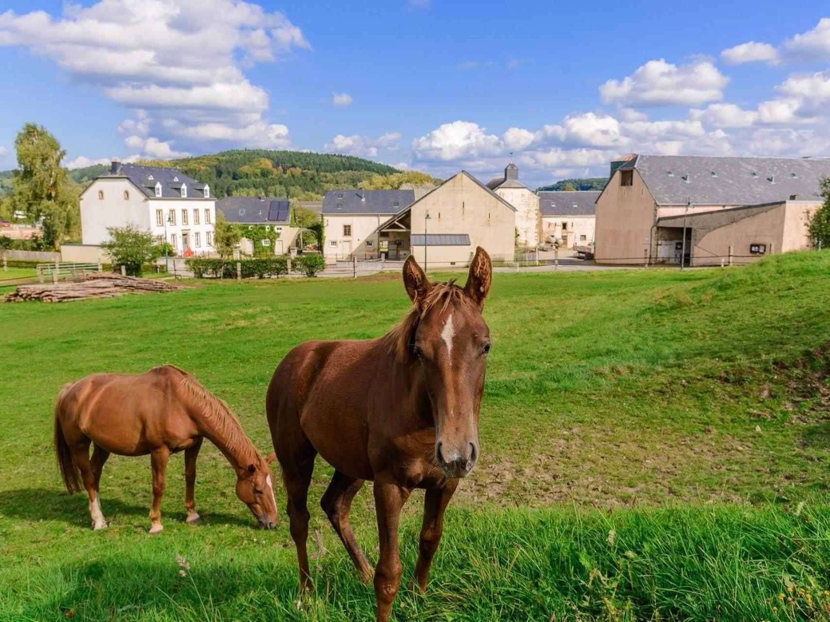 Cottage House Weyer - Mare&Filly Room Εξωτερικό φωτογραφία